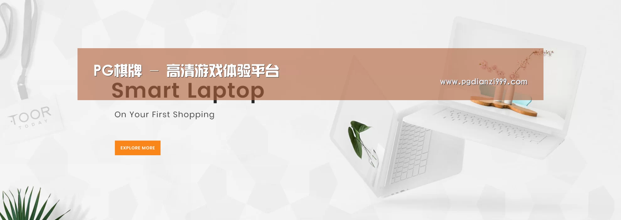 某某网络科技有限公司