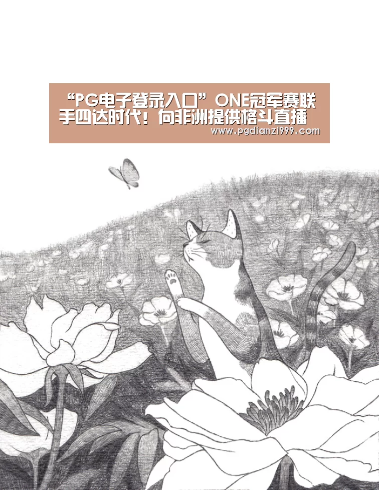 “PG电子登录入口”ONE冠军赛联手四达时代!向非洲提供格斗直播(图3) PG电子登录入口