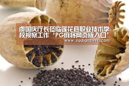 PG麻将网页版入口