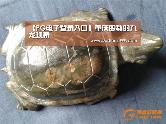 PG麻将网页版入口