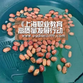 《上海职业教育高质量发展行动计划(2019-2022年)》政策解读|PG麻将网页版入口(图3) PG电子老虎机