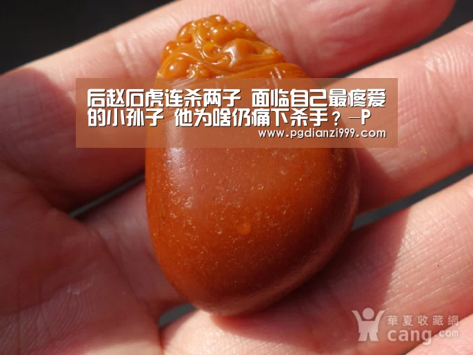 后赵石虎连杀两子 面临自己最疼爱的小孙子 他为啥仍痛下杀手?-PG电子登录入口(图1) PG电子登录入口