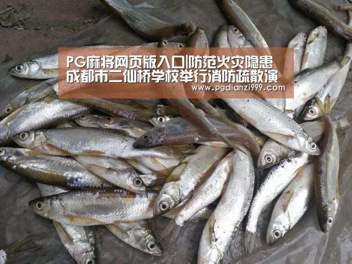 PG电子老虎机