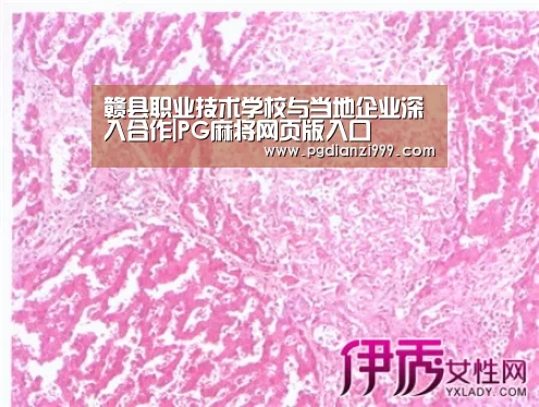 赣县职业技术学校与当地企业深入合作|PG麻将网页版入口(图2) PG麻将网页版入口