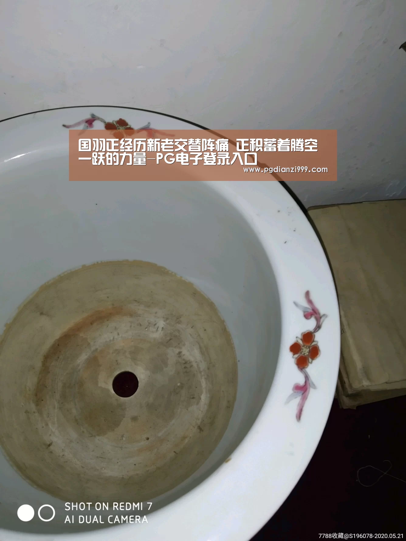 国羽正经历新老交替阵痛 正积蓄着腾空一跃的力量-PG电子登录入口(图2) PG棋牌