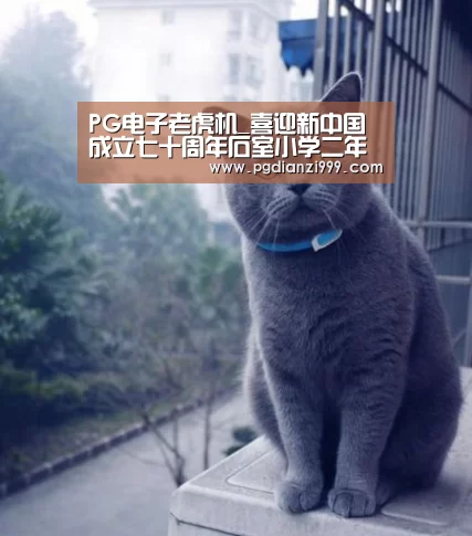 PG电子老虎机_喜迎新中国成立七十周年石室小学二年级三班用爱致敬祖国(图4) PG电子老虎机