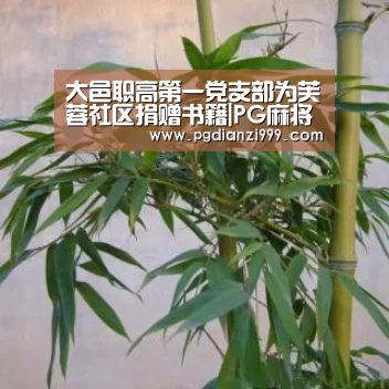 大邑职高第一党支部为芙蓉社区捐赠书籍|PG麻将网页版入口(图1) PG麻将网页版入口