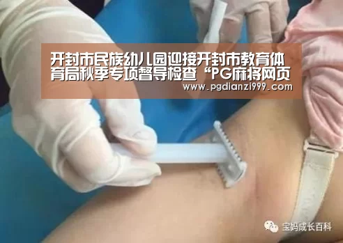 PG电子登录入口