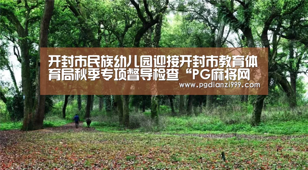 PG电子登录入口