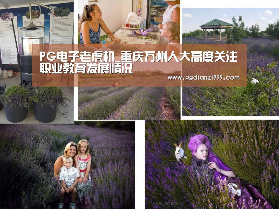 PG电子老虎机_重庆万州人大高度关注职业教育发展情况(图1) PG麻将网页版入口